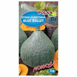 Dynia OLBRZYMIA Blue Ballet 2g nasiona warzyw polan