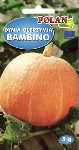 Dynia olbrzymia Polan Bambino 5 g