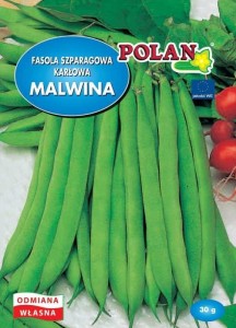 Fasola szparagowa karłowa zielona Malwina 30g POLAN