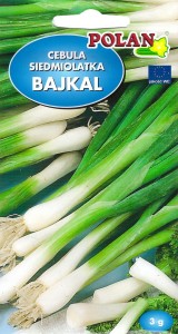 Cebula siedmiolatka Bajkal nasiona 3 g